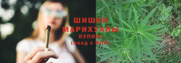 спиды Костерёво