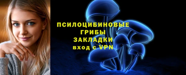 PSILOCYBIN Коряжма