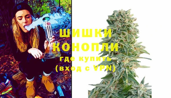 PSILOCYBIN Коряжма