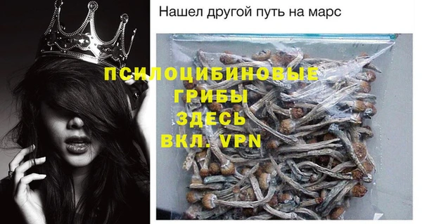 спиды Костерёво