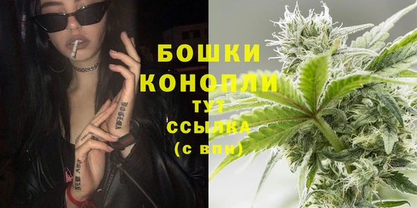 PSILOCYBIN Коряжма